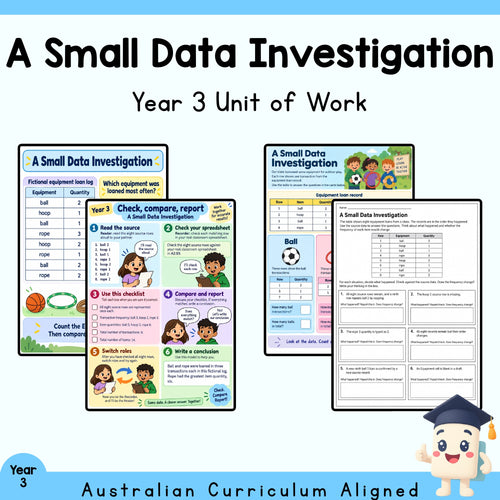 A Small Data Investigation - Year 3 — cover
