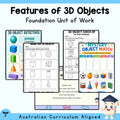 Features of 3D Objects Foundation