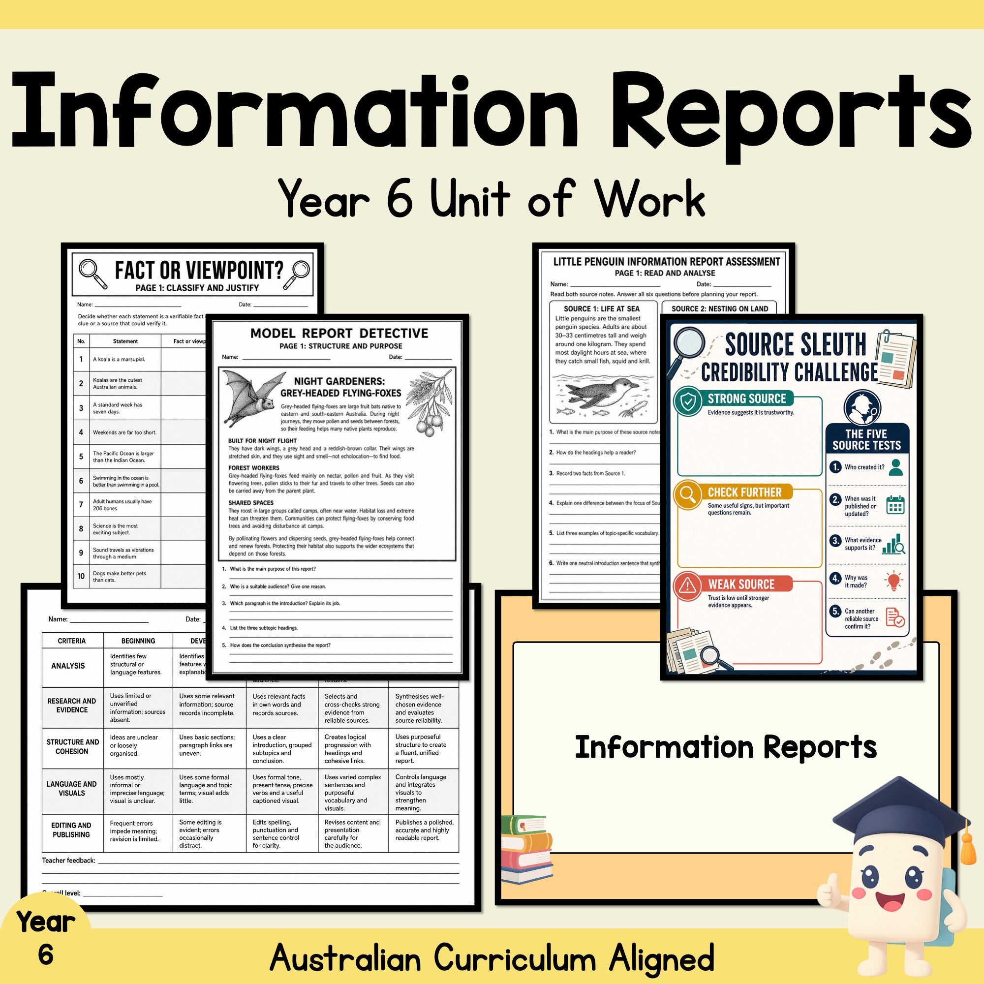 Information Reports - Year 6