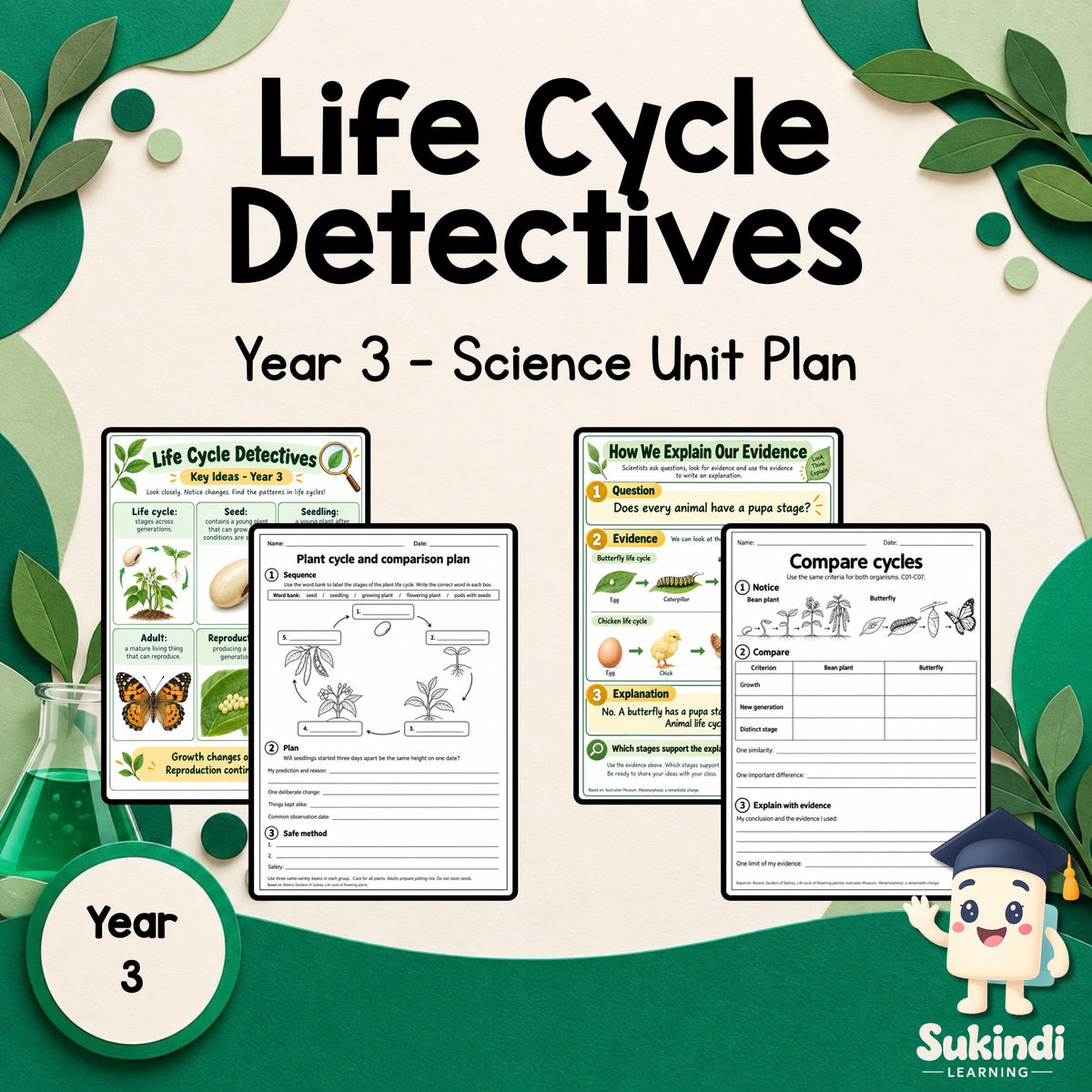 Life Cycle Detectives - Year 3 — cover