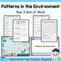 Patterns in the Environment – Year 2