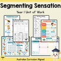Segmenting Sensation – Year 1